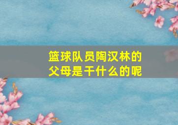 篮球队员陶汉林的父母是干什么的呢