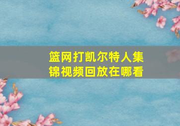 篮网打凯尔特人集锦视频回放在哪看