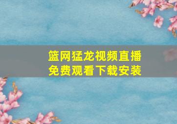 篮网猛龙视频直播免费观看下载安装