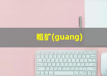 粗犷(guang)