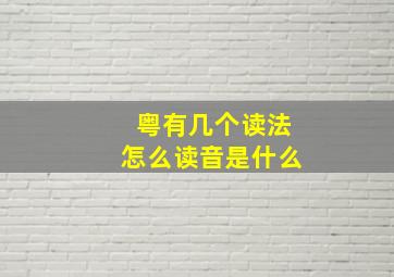 粤有几个读法怎么读音是什么