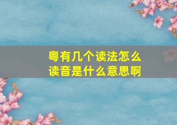 粤有几个读法怎么读音是什么意思啊