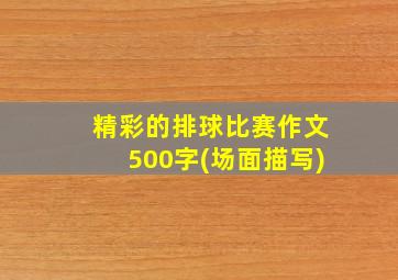 精彩的排球比赛作文500字(场面描写)