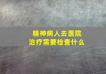 精神病人去医院治疗需要检查什么