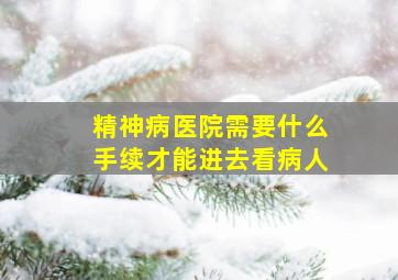 精神病医院需要什么手续才能进去看病人