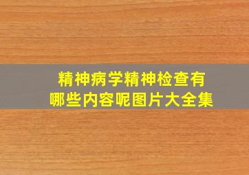 精神病学精神检查有哪些内容呢图片大全集