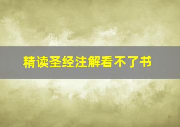 精读圣经注解看不了书