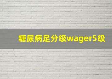 糖尿病足分级wager5级