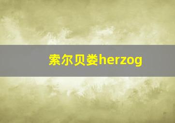 索尔贝娄herzog