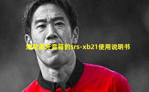 索尼蓝牙音箱的srs-xb21使用说明书