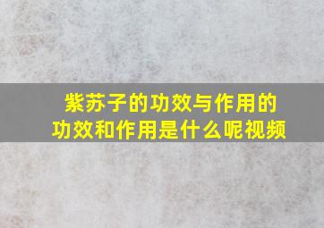 紫苏子的功效与作用的功效和作用是什么呢视频