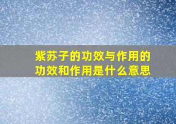 紫苏子的功效与作用的功效和作用是什么意思