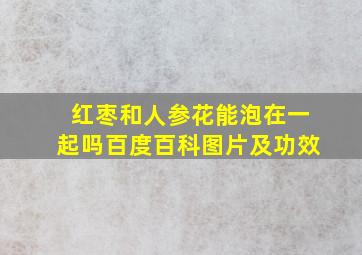 红枣和人参花能泡在一起吗百度百科图片及功效