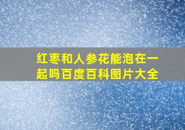 红枣和人参花能泡在一起吗百度百科图片大全