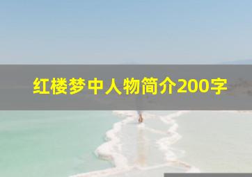 红楼梦中人物简介200字