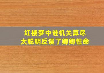 红楼梦中谁机关算尽太聪明反误了卿卿性命