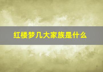 红楼梦几大家族是什么