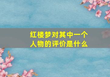 红楼梦对其中一个人物的评价是什么