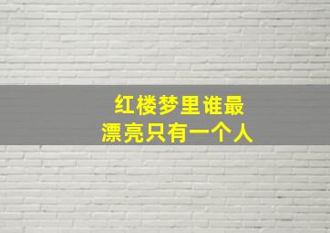 红楼梦里谁最漂亮只有一个人