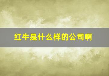 红牛是什么样的公司啊