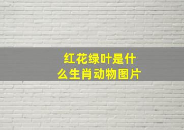 红花绿叶是什么生肖动物图片