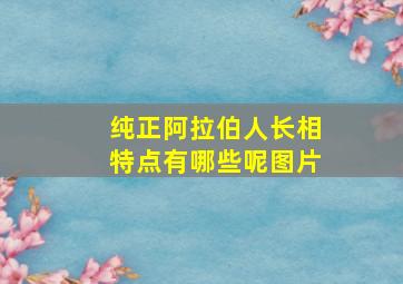 纯正阿拉伯人长相特点有哪些呢图片