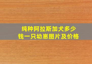 纯种阿拉斯加犬多少钱一只幼崽图片及价格