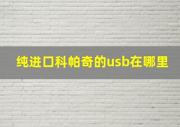 纯进口科帕奇的usb在哪里