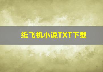 纸飞机小说TXT下载