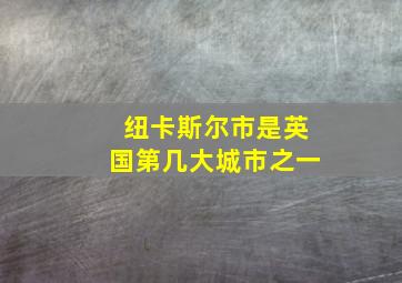 纽卡斯尔市是英国第几大城市之一