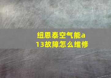 纽恩泰空气能a13故障怎么维修