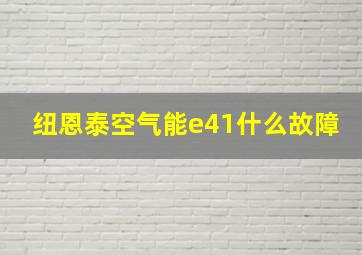 纽恩泰空气能e41什么故障