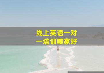 线上英语一对一培训哪家好