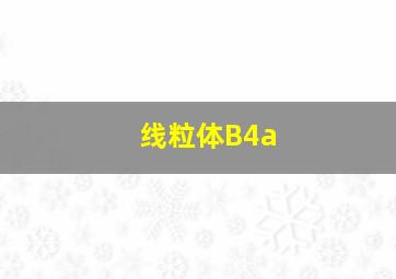 线粒体B4a