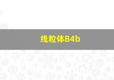 线粒体B4b