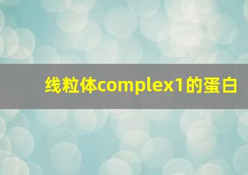 线粒体complex1的蛋白