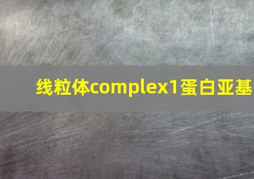 线粒体complex1蛋白亚基