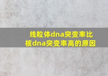 线粒体dna突变率比核dna突变率高的原因