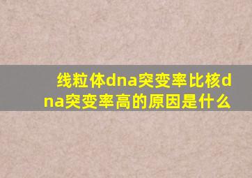 线粒体dna突变率比核dna突变率高的原因是什么