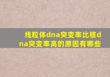 线粒体dna突变率比核dna突变率高的原因有哪些