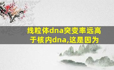 线粒体dna突变率远高于核内dna,这是因为