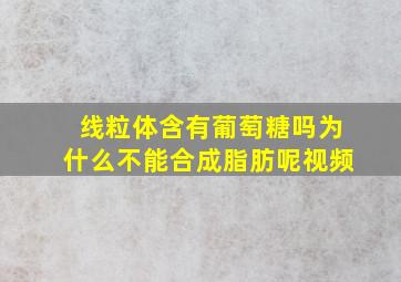 线粒体含有葡萄糖吗为什么不能合成脂肪呢视频