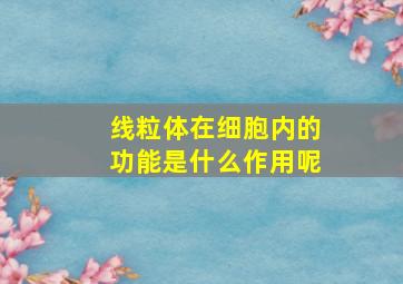 线粒体在细胞内的功能是什么作用呢