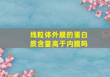 线粒体外膜的蛋白质含量高于内膜吗