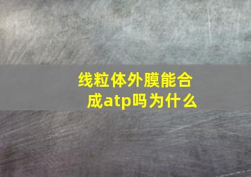 线粒体外膜能合成atp吗为什么