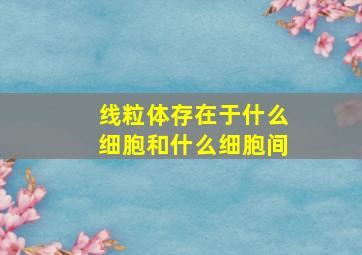 线粒体存在于什么细胞和什么细胞间