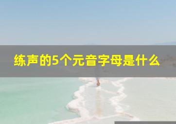 练声的5个元音字母是什么