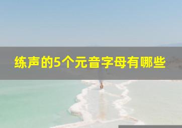 练声的5个元音字母有哪些