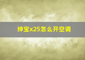 绅宝x25怎么开空调