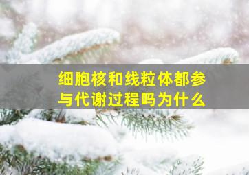 细胞核和线粒体都参与代谢过程吗为什么